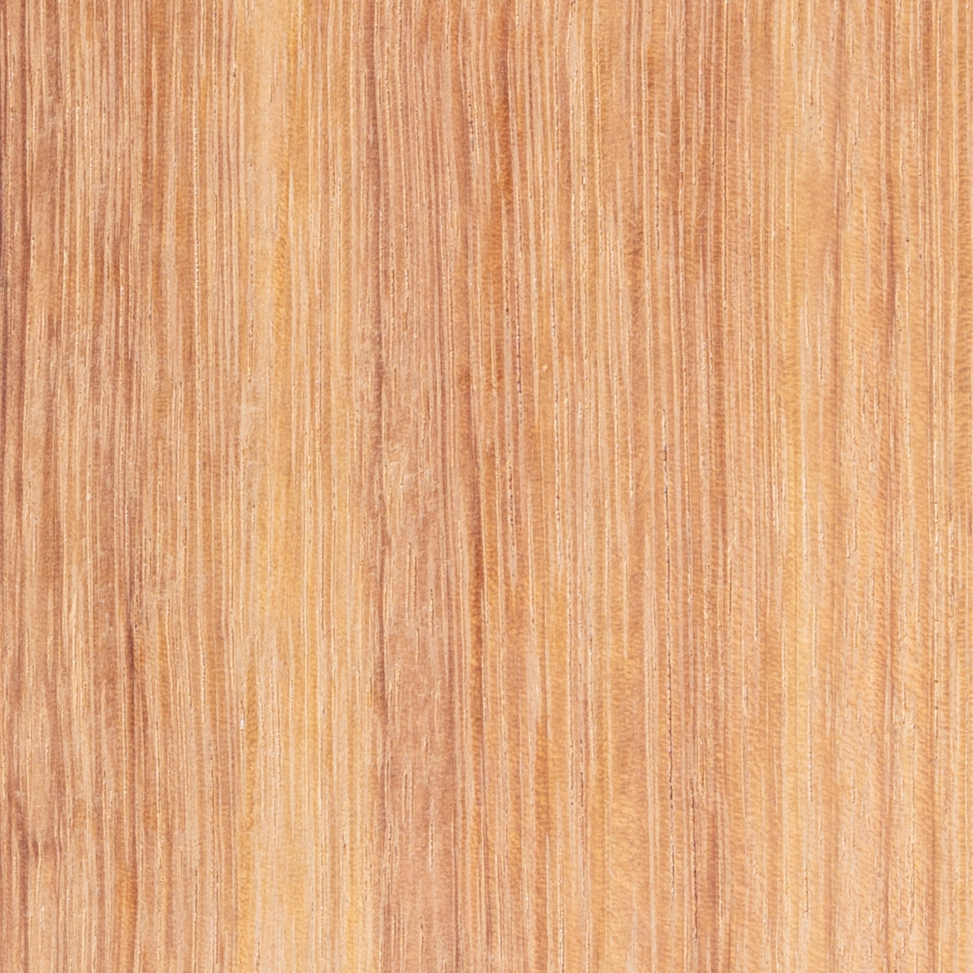 Acacia franc (Balibatra)