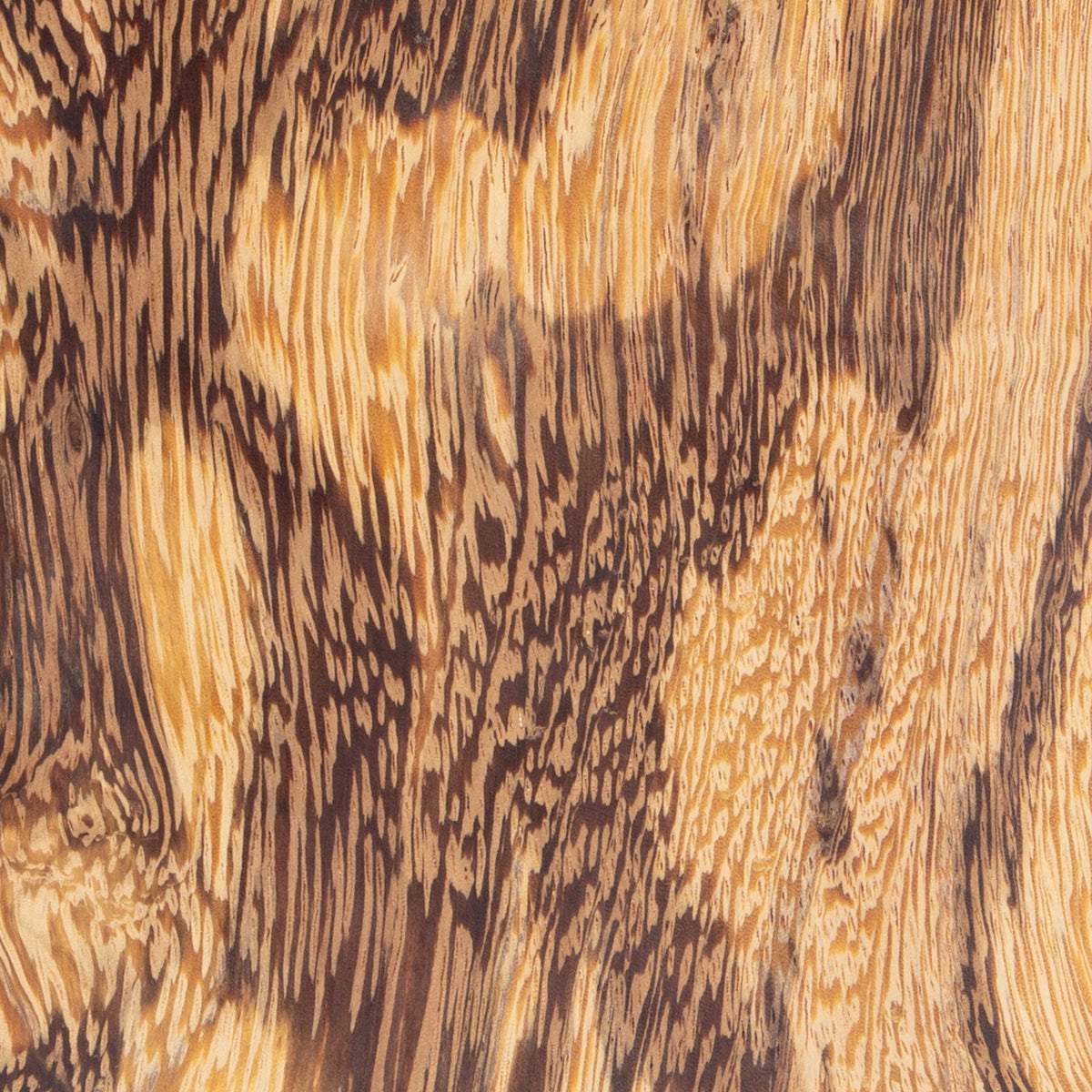 Snake Wood