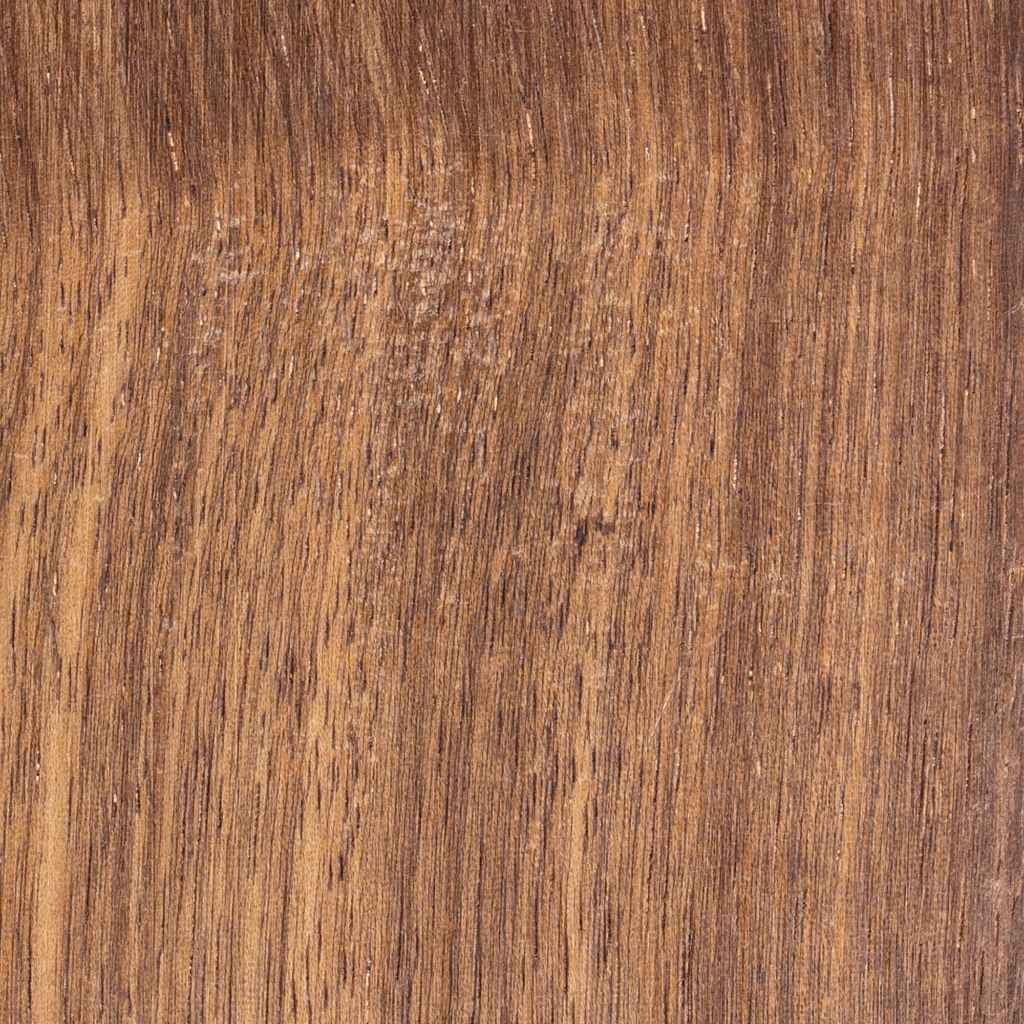 Angélique (Basralocus)