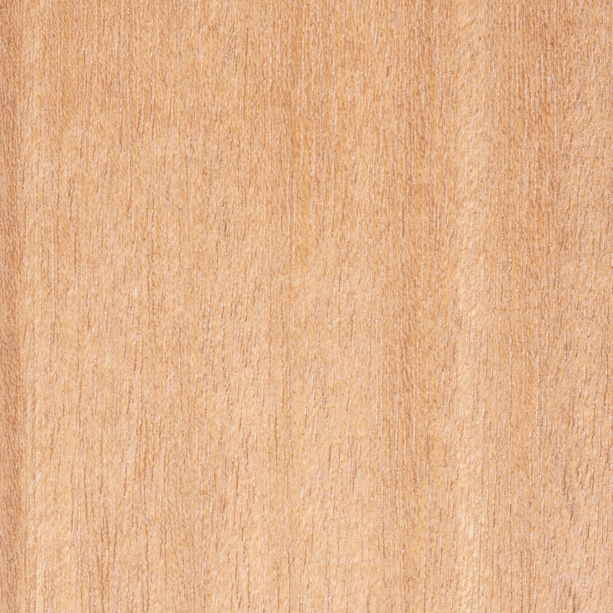 Grignon Franc ( Louro Vermelho)