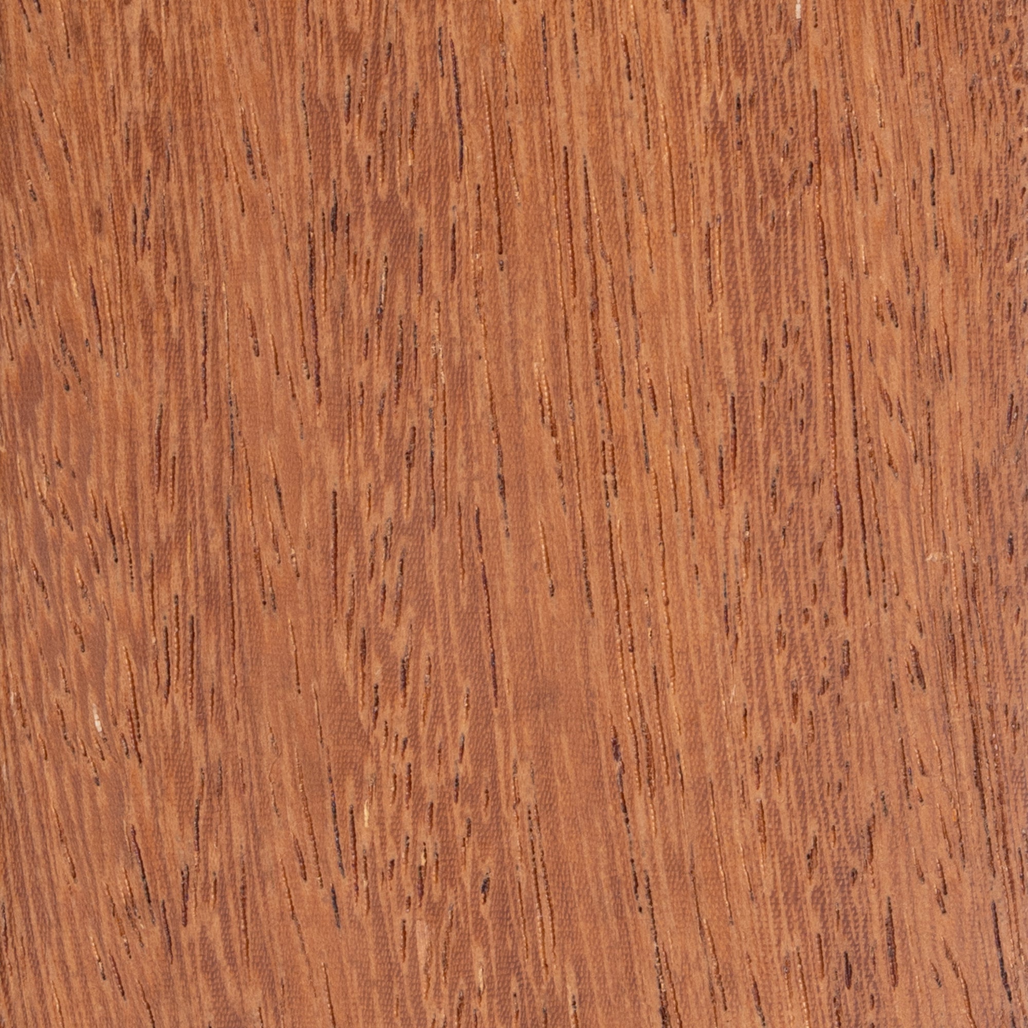 Saint Martin Jaune (Angelim Pedra)